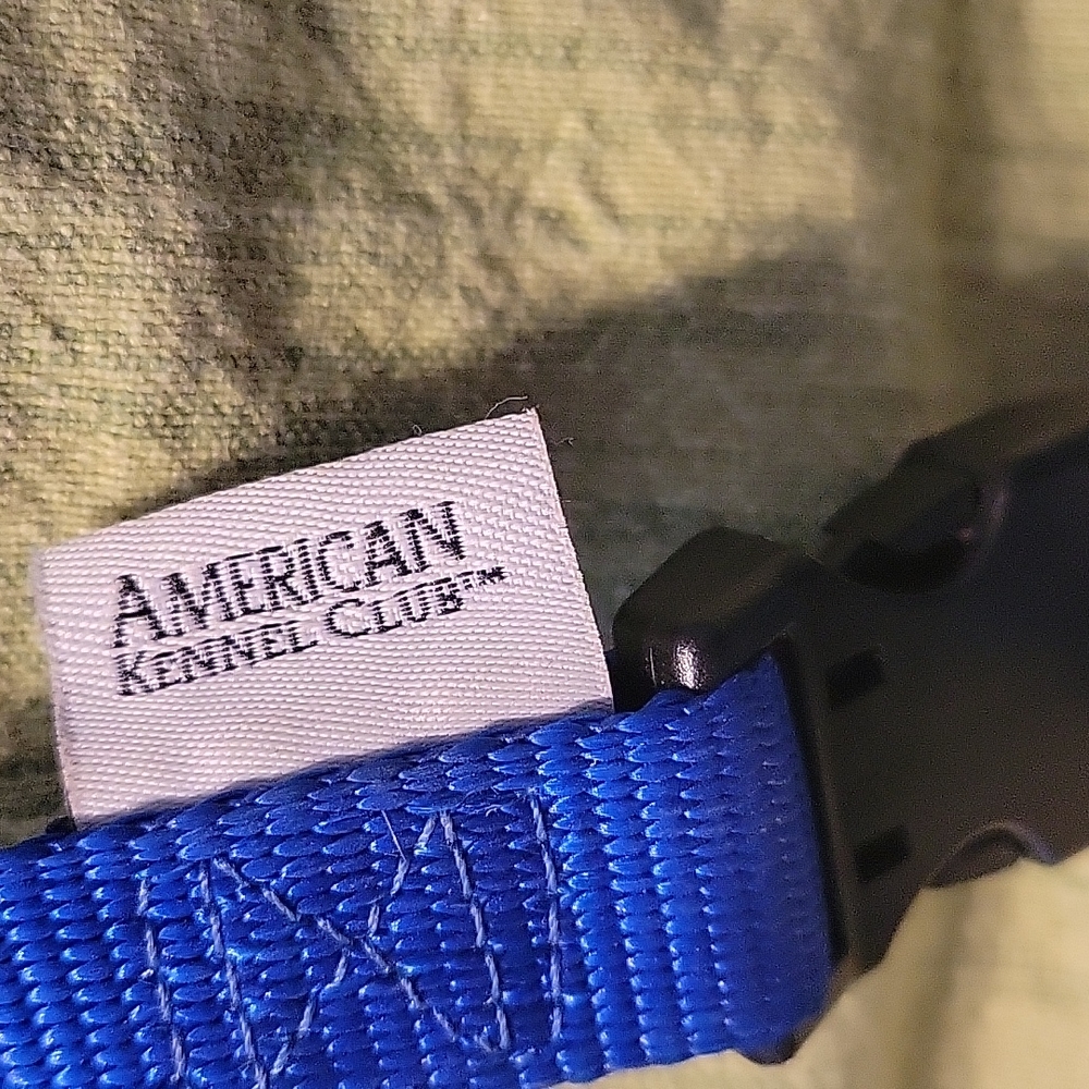 Dog Collar - Picture 3 of 6
